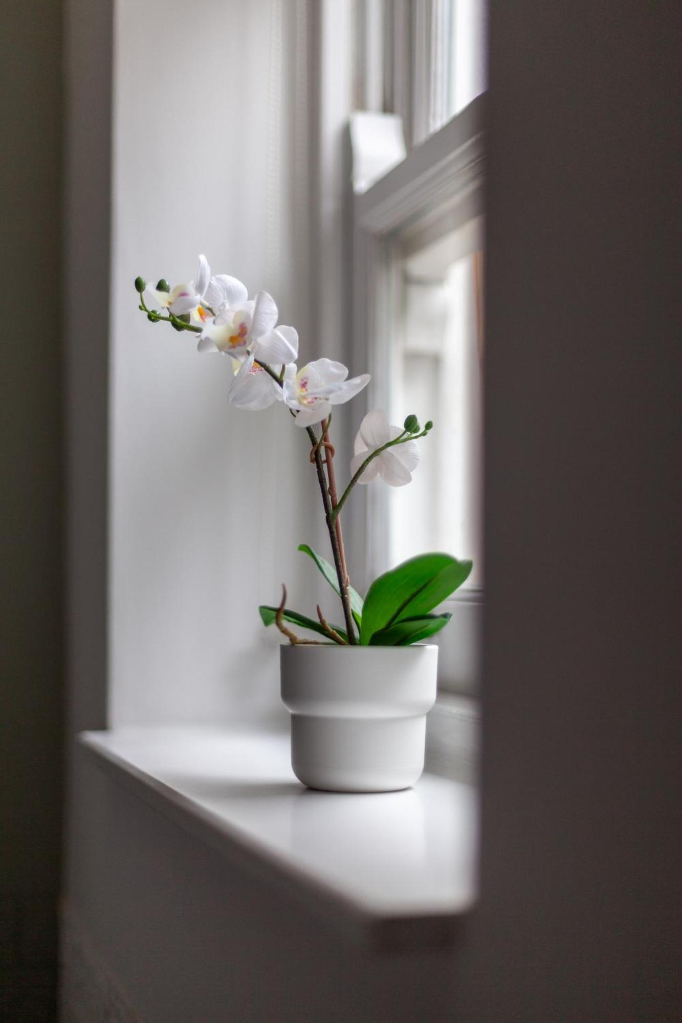 The Hackney Luxury Flat Apartment ลอนดอน ภายนอก รูปภาพ